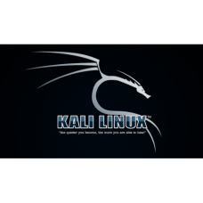 Установка Kali Linux