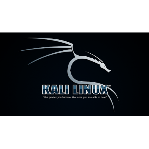 Установка Kali Linux